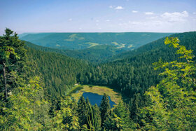 Hutzenbachsee C Baiersbronn Touristik