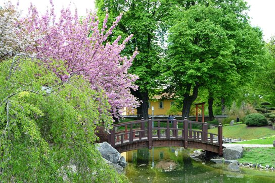 bad-langensalza japanischer Garten c pixabay