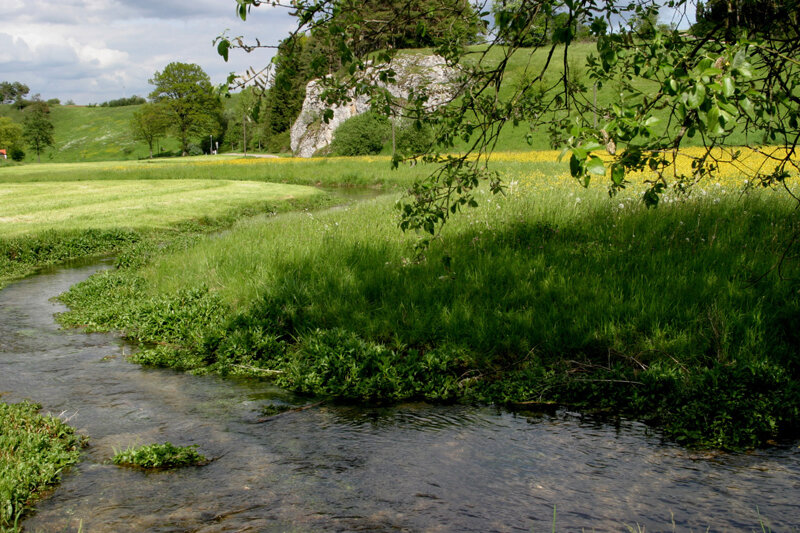 Natur bei Rieden
