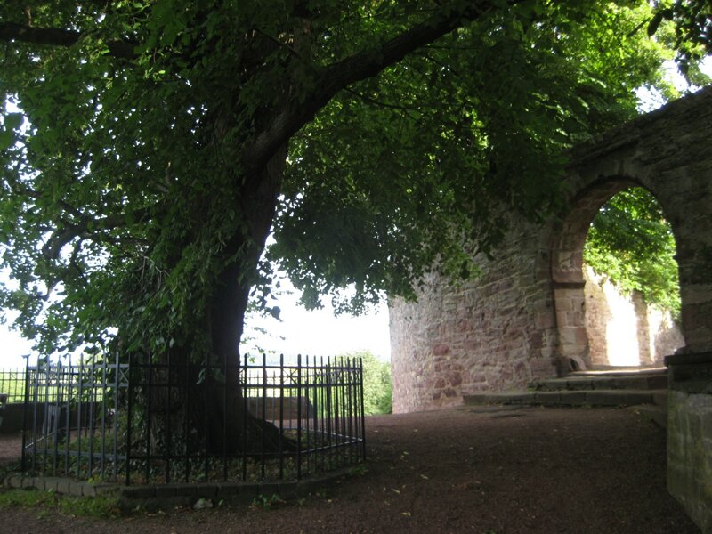 Eingang Burg Blomberg