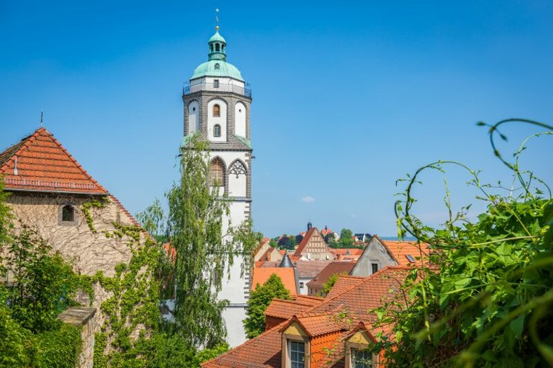 Weinberge und Weinanbau bei Meißen