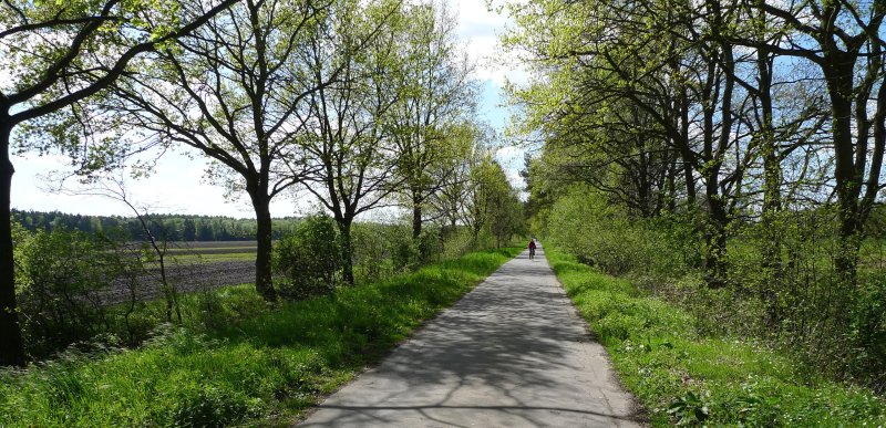 Weg durch Felder