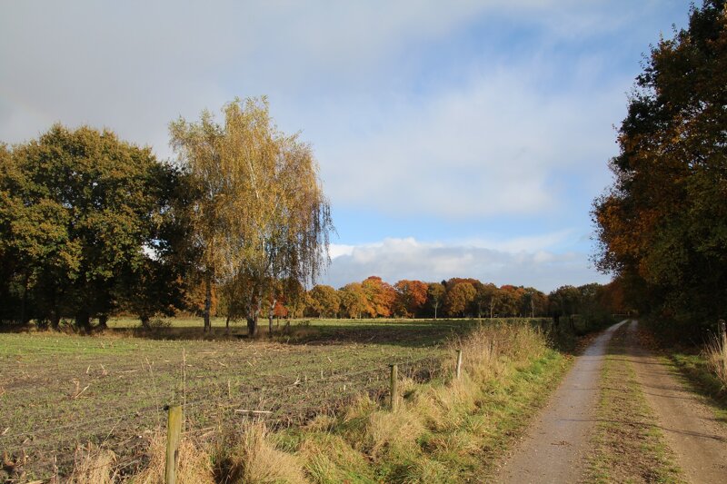 Feldweg