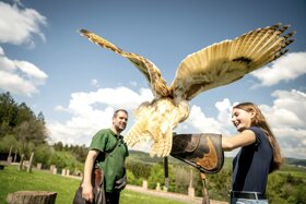 faszierende-greifvoegel-bestaunen