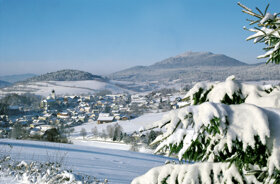 Lam mit Hohen Bogen 2