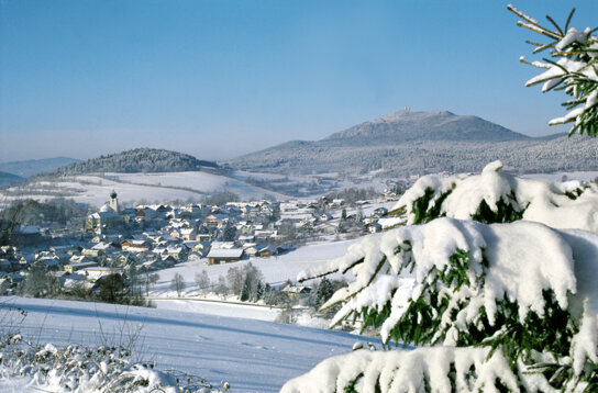 Lam mit Hohen Bogen 2