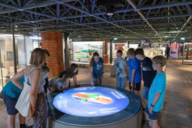 MEERESMUSEUM Digitale Erschliessung Urzeitmeer Foto Anke Neumeister DMM