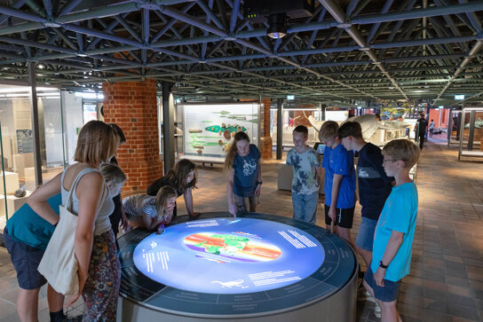 MEERESMUSEUM Digitale Erschliessung Urzeitmeer Foto Anke Neumeister DMM