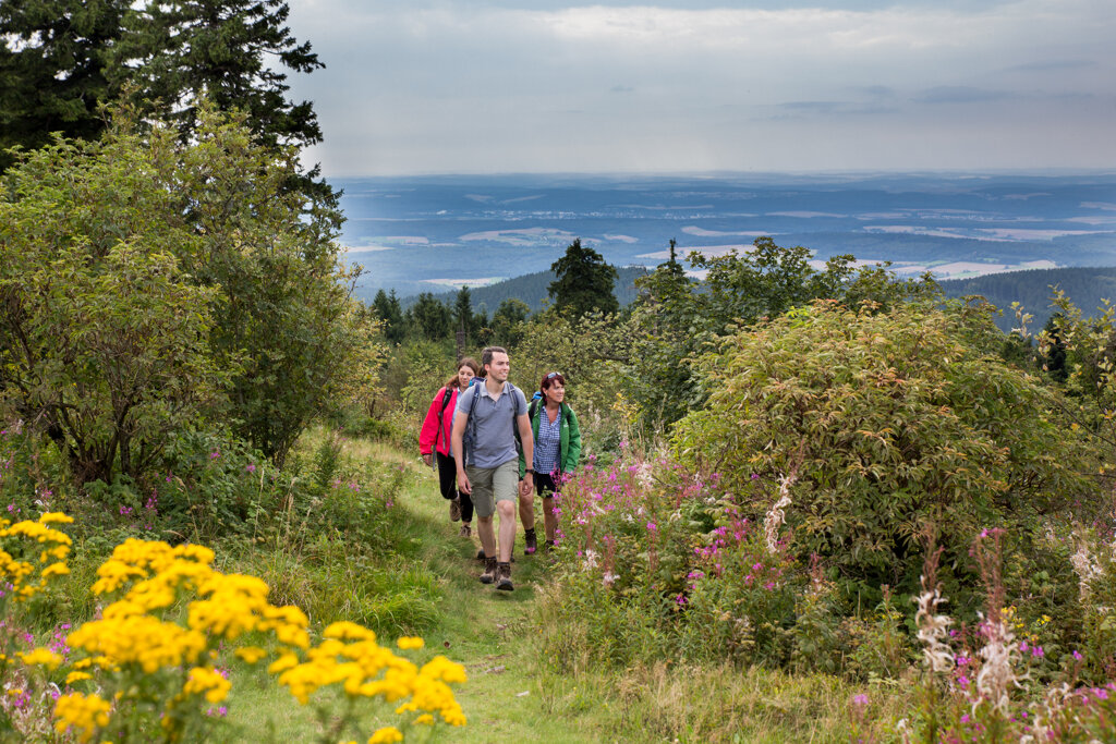 Wandern, Hochtaunus c Taunus Touristik Service e.V.