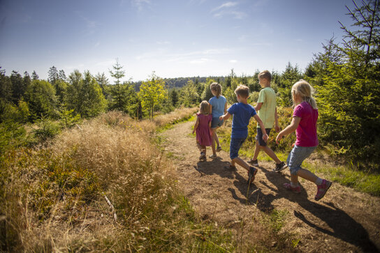 Kinder auf dem Ettelsberg bei Willingen c) Tourist-Information Willingen, Sabrinity (93)
