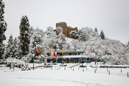 Badenweiler Winter-29