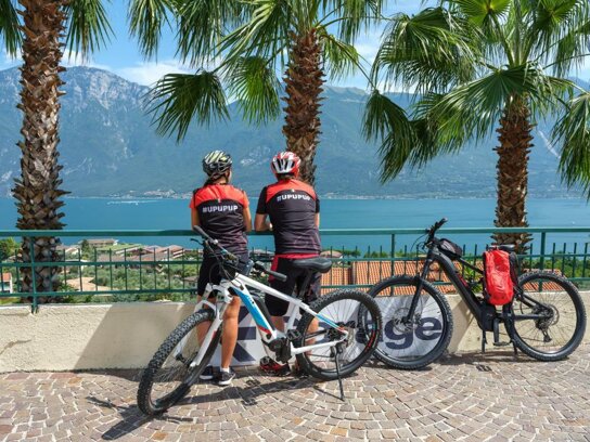fahrrad