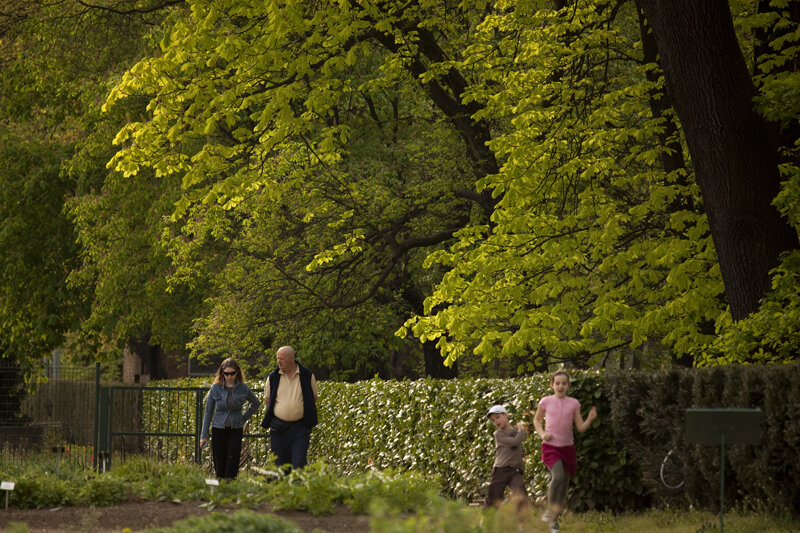 Park mit Bäumen und Menschen