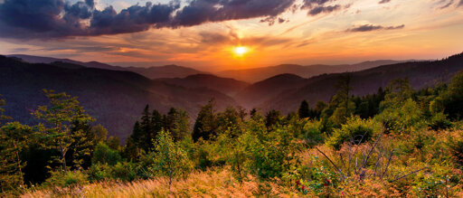 Reisethema  Schwarzwald