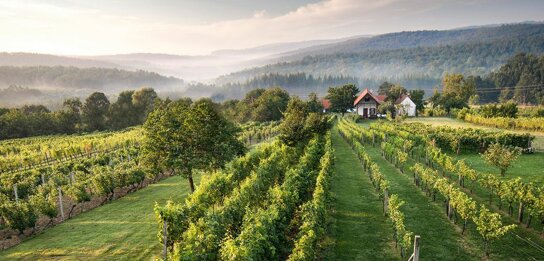 Burgenland Detailview 5