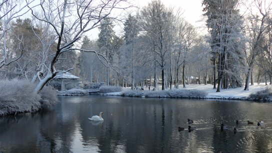 See Winter c Stadt Bad Wildungen