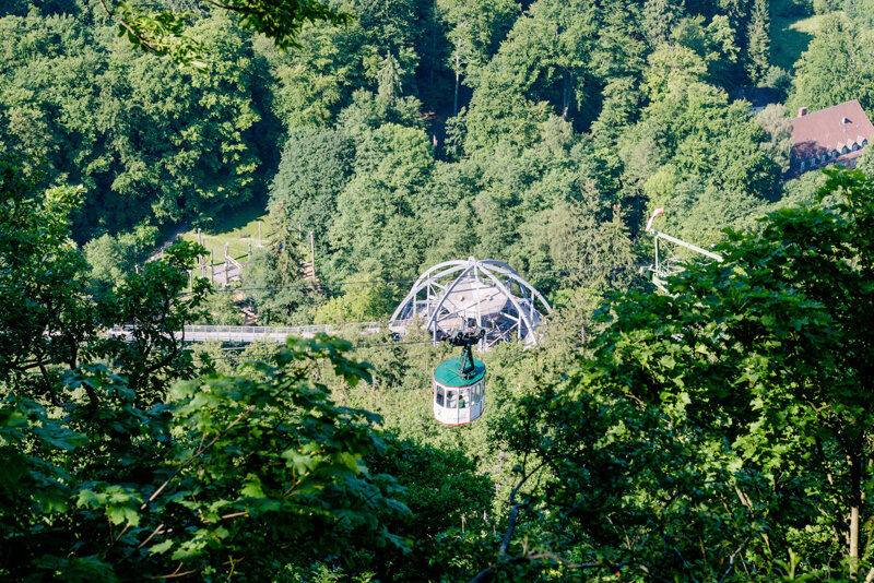 Baumwipfelpfad und Seilbahn