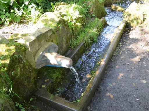 Wellness, Wald und die Wanderung zur Quelle