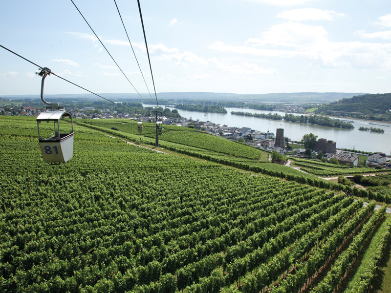 Rüdesheim (7)