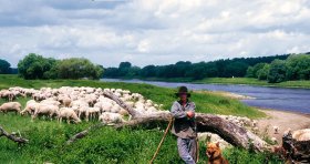 Schäferstündchen Mittelelbe
