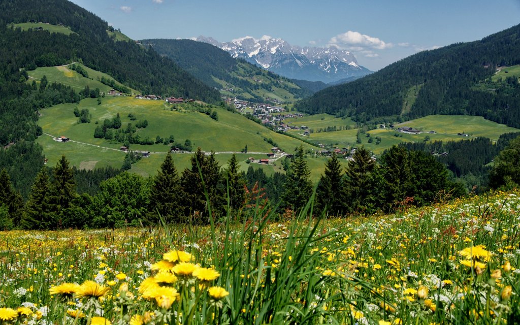 Wildschönau