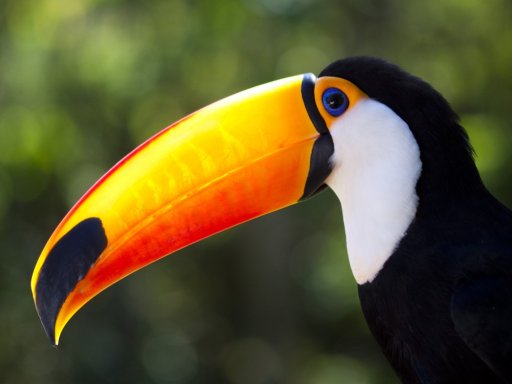 Muntere Piepmätze füttern im Weltvogelpark