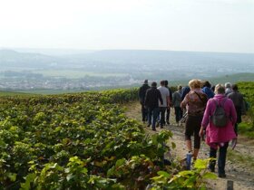 sentier-du-vigneron-visite-guidee