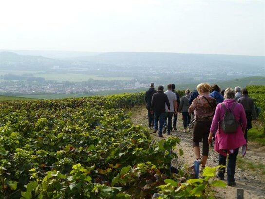 sentier-du-vigneron-visite-guidee