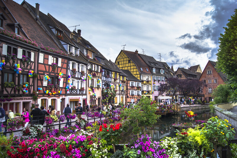 18489178274 6988f8f3e4 k