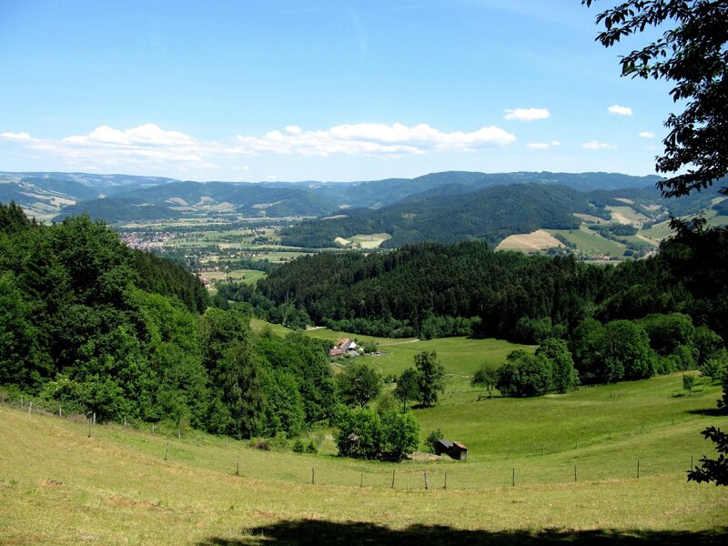 Ausblick über den Schwarzwald bei Empfingen