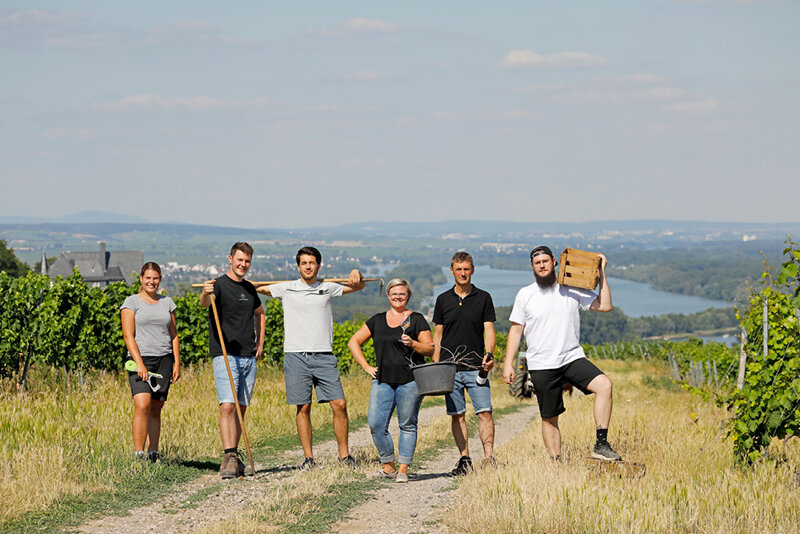 Team im Weinberg beim Weingut Hemmes Bingen