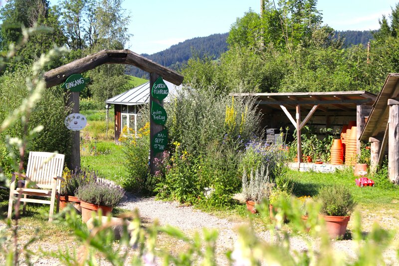 Frühling Artemisia Kräutergarten Stiefenhofen im Allgäu 