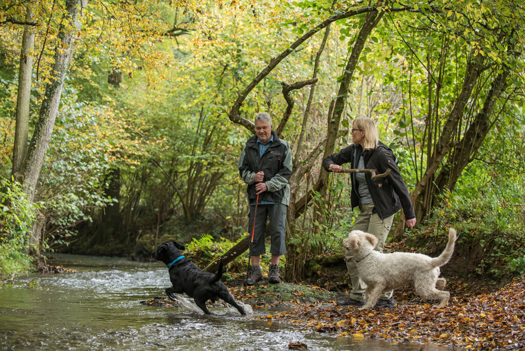 Wandern im Wiedtal 61