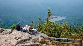 Lam Arber 2013 047 4c