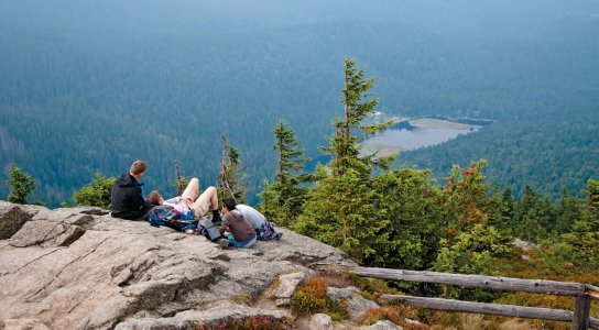 Lam Arber 2013 047 4c