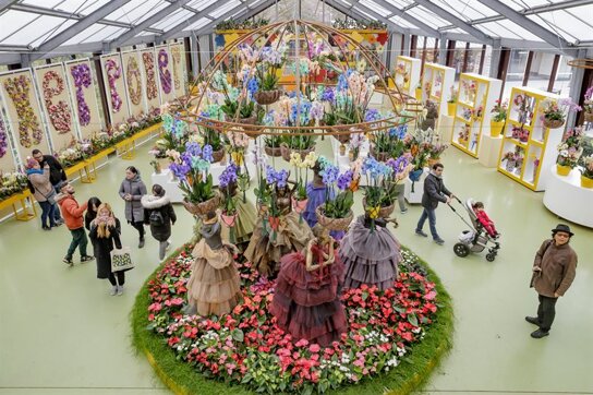 Flower Show 1