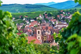 Riquewihr Quentin Gachon (5)
