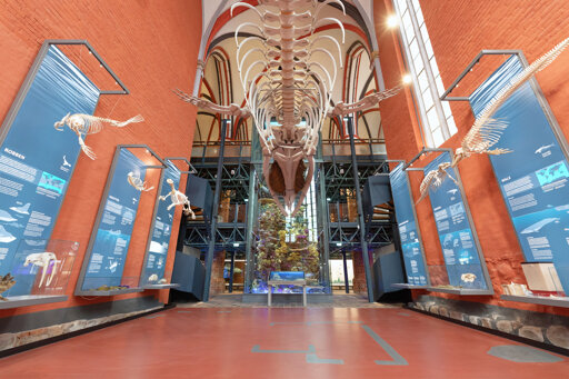 Deutsches Meeresmuseum