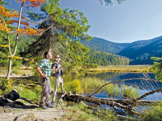 Naturpark Oberer Bayerischer Wald, Wanderer am Kleinen Arbersee©Stefan Gruber, Landratsamt Cham
