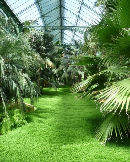 plant-1286685 1920 c by pixbay