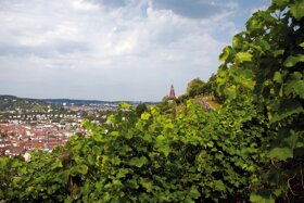 Weinsteige 0096 c Stuttgart-Marketing GmbH Christoph Düpper