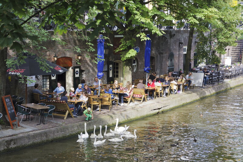 Grachtenidylle in Zeist – Schwäne auf dem Kanal