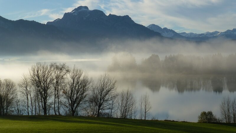 Mystische Allgäu-Landschaft mit Nebel und Wald