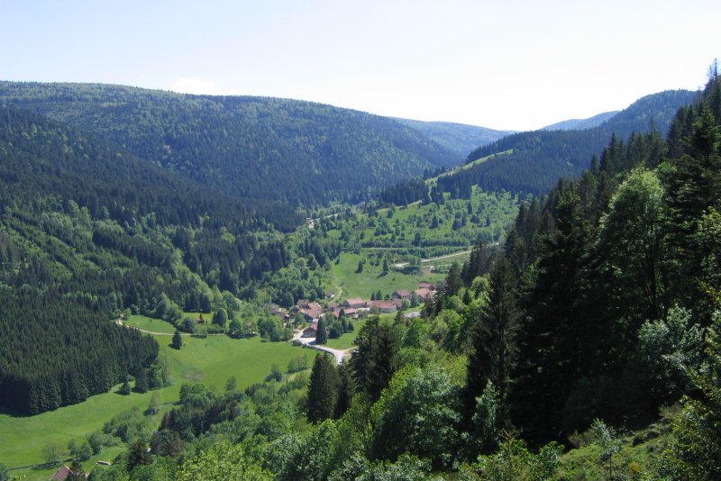 Blick auf die Vogesen