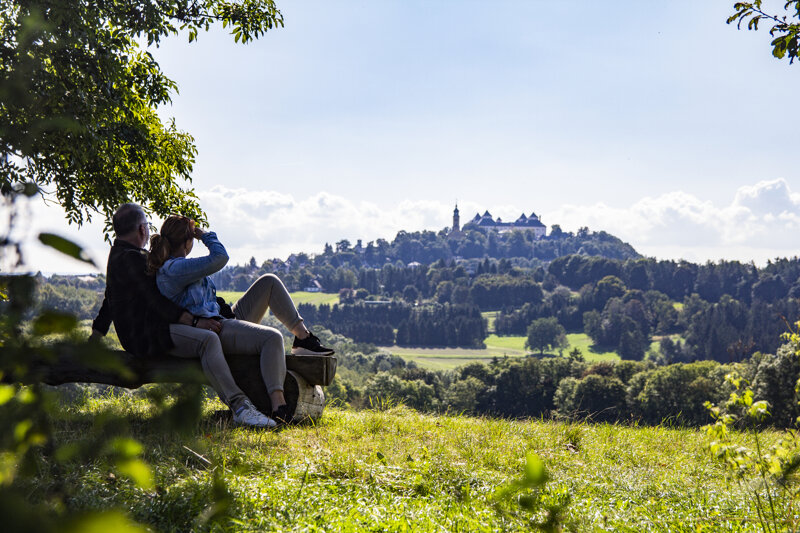 Landschaft im Erzgebirge mit Schloss