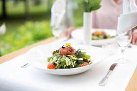 SONY SLT-A99V 4134x2756 012895