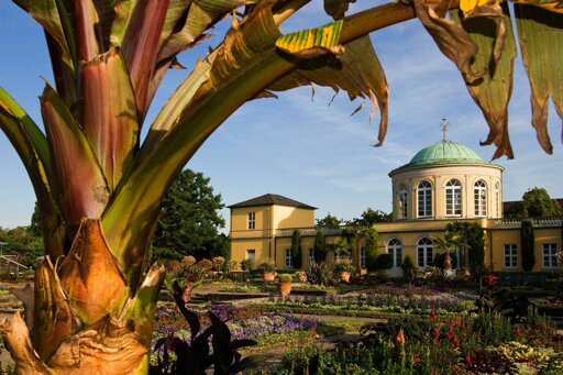 Berggarten - Hannover