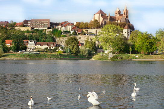 Rheinufer, Blick auf Breisach