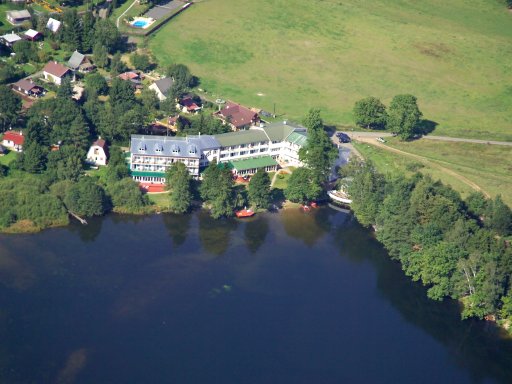 Die böhmischen Löwen warten am Waldsee