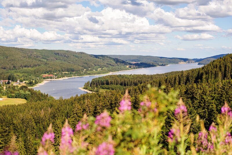 Landschaft im Hochschwarzwald nahe der Wutachschlucht